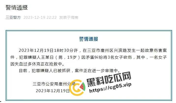 12.19日三亚南滨中学门口精神小伙为爱砍人！现场画面曝光 遍地鲜血 三名女子被砍伤 一人正在抢救中