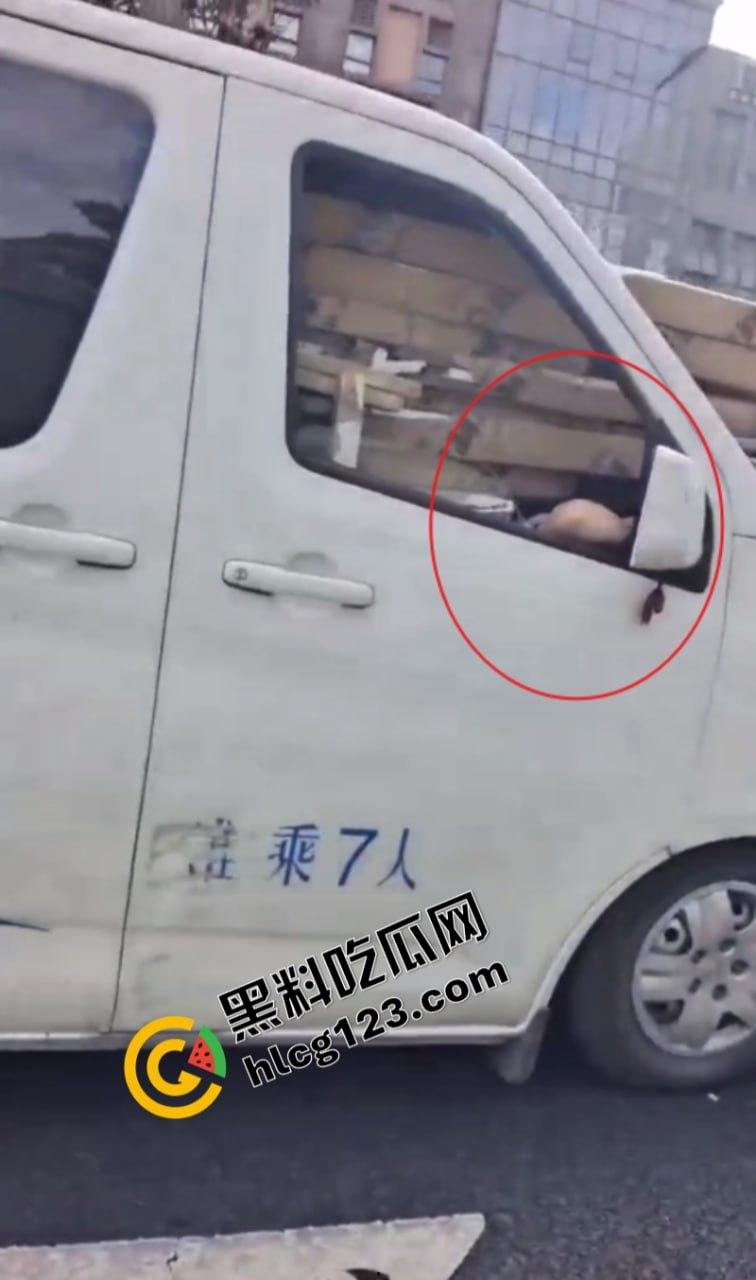 太惨了!面包车“人货混装”追尾,副驾驶女人没了!-10