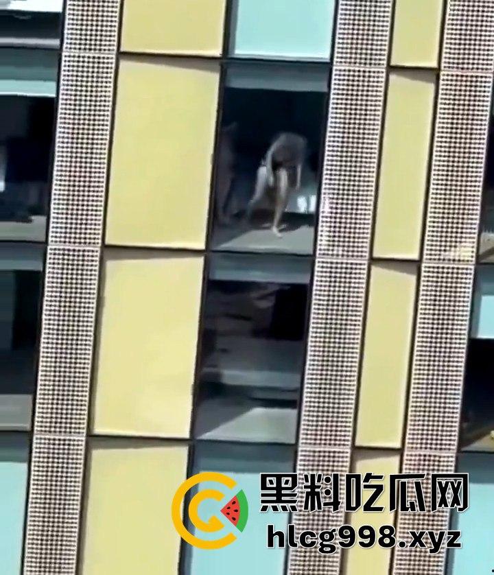 我嘞个骚刚！瓜友投稿酒店偷拍，激情后入到一半才发现是俩男的在搞！