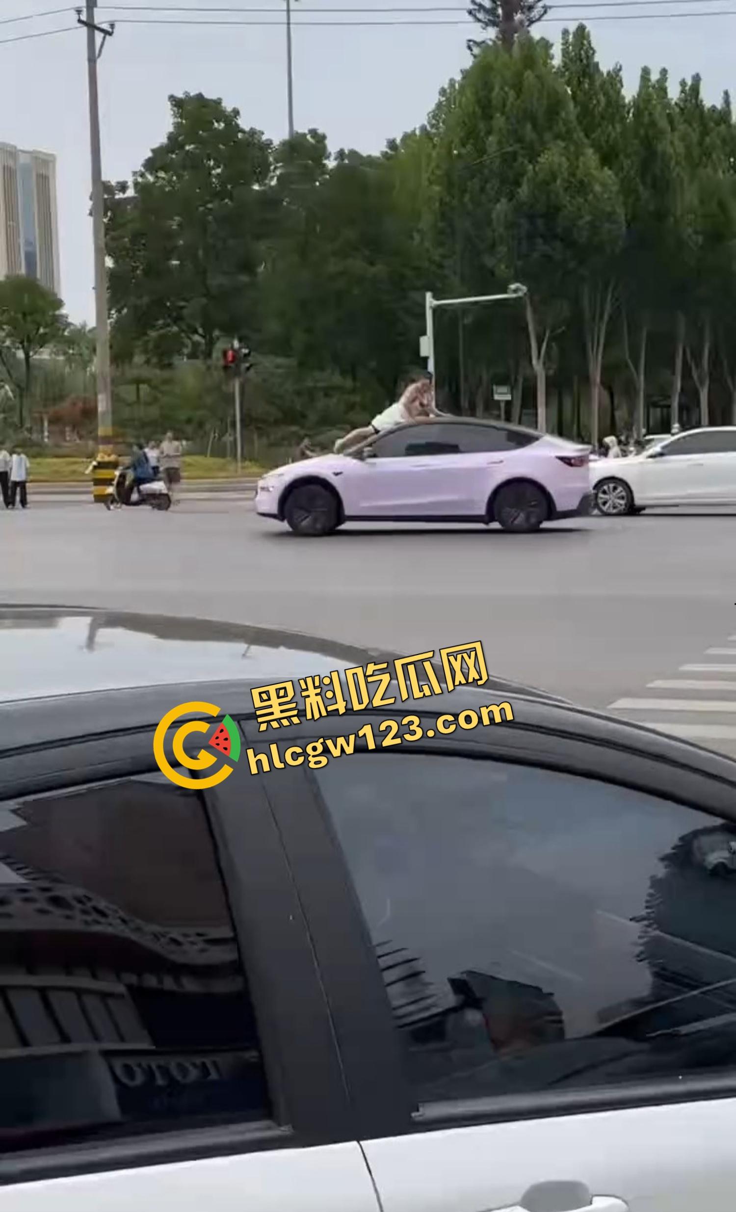 河南女版绿魔开挂上线,集美爬车无差别砸车,特斯拉一脚电门姐你是来耍杂技还是找死的?-2