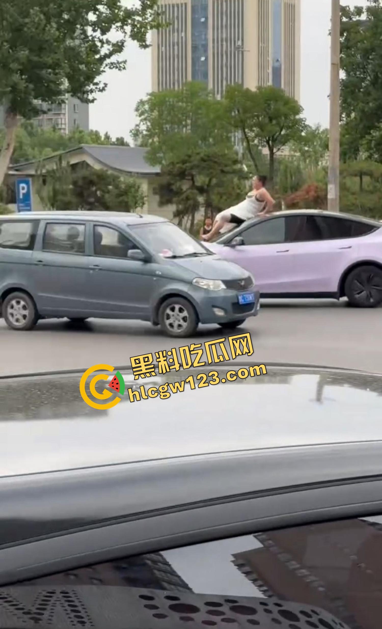 河南女版绿魔开挂上线,集美爬车无差别砸车,特斯拉一脚电门姐你是来耍杂技还是找死的?-3