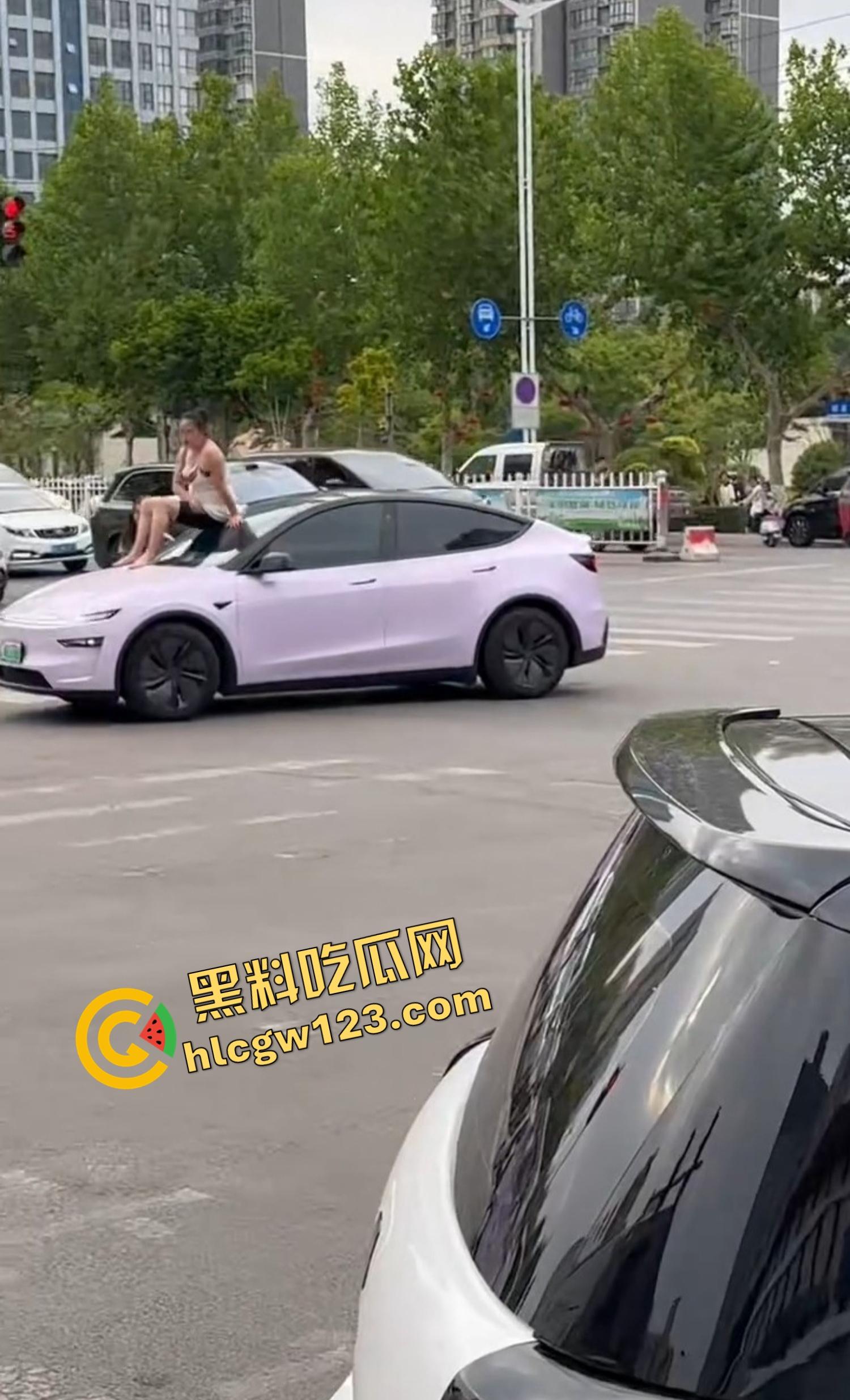 河南女版绿魔开挂上线,集美爬车无差别砸车,特斯拉一脚电门姐你是来耍杂技还是找死的?-6