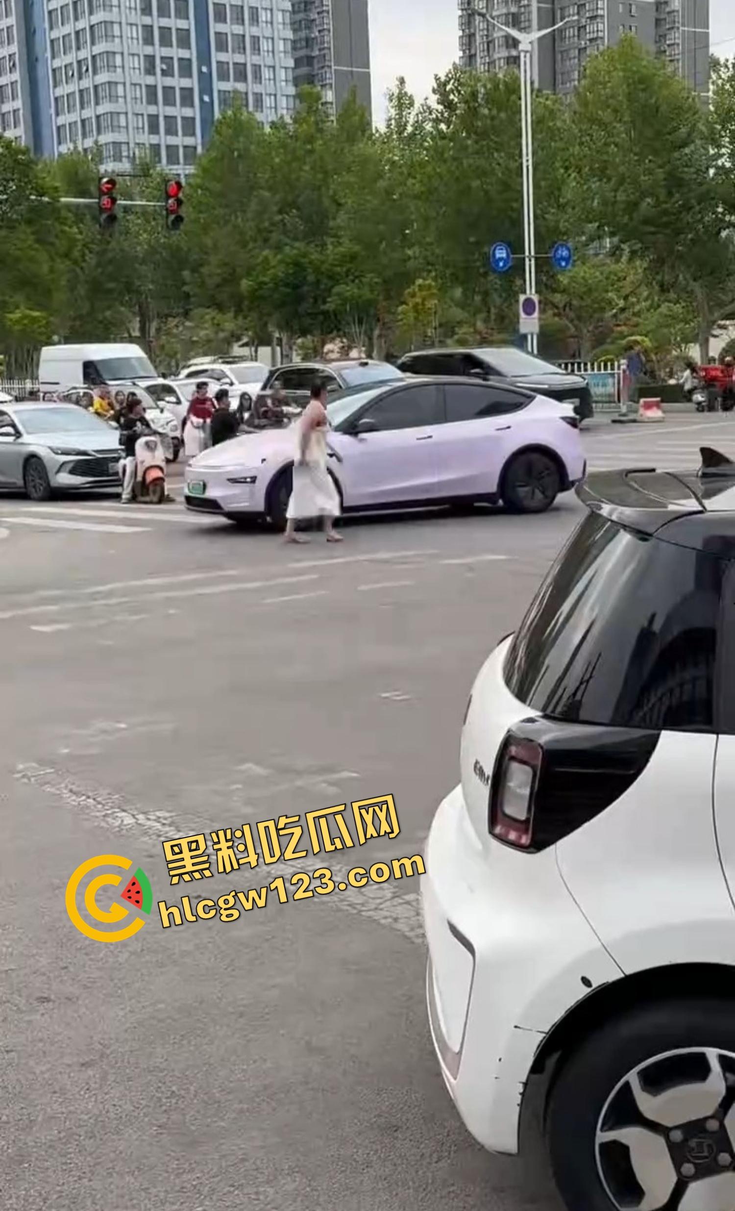 河南女版绿魔开挂上线,集美爬车无差别砸车,特斯拉一脚电门姐你是来耍杂技还是找死的?-7