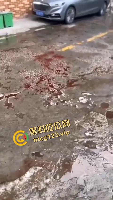 广东潮州发生恶性斗殴事件,一男子被当街砍死,另一人被警方当场抓获,凶手直接被判死刑!-5