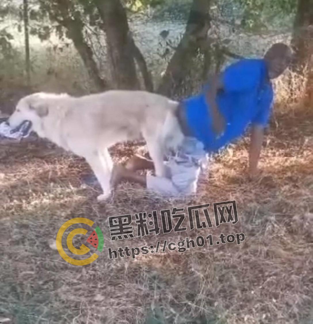 老尼哥被狗草了！这位黑大爷口味属实有点重啊-1