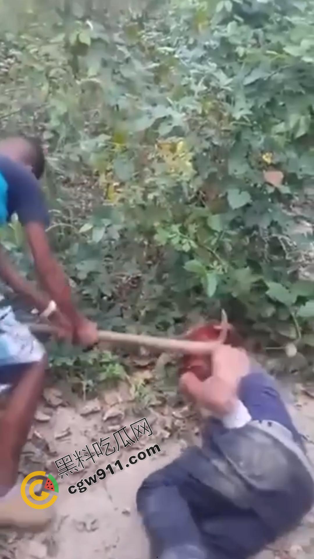 恐怖血腥暴力场面!奸夫惨遭铁镐猛砸,头颅血流如注,现场骇人至极,胆小者勿点!-4