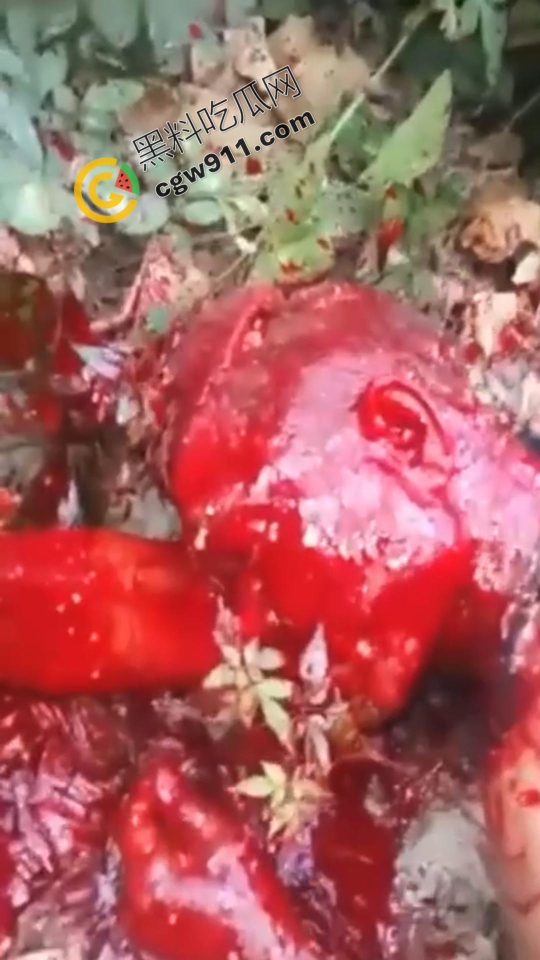 恐怖血腥暴力场面!奸夫惨遭铁镐猛砸,头颅血流如注,现场骇人至极,胆小者勿点!-8