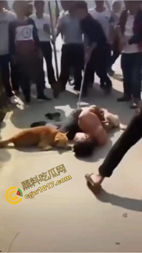 广西村民抓住偷狗贼,脱光殴打,场面血腥凶残,围观村民挥棒狂殴,男子惨嚎不断,村民誓要为爱犬复仇!-9