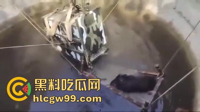 完达山一号再现?印度三哥野生老虎因追逃野猪双双落入水井,这次三哥不会趁老虎之危了吧!-1
